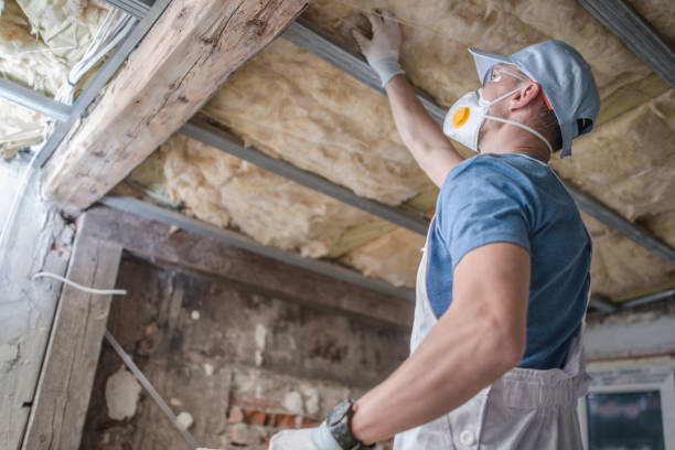 Best Specialty Insulation in Atwater, MN